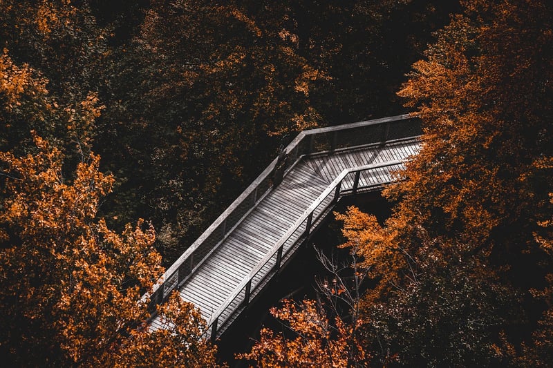 Exploration Trails